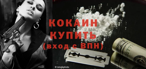 PSILOCYBIN Корсаков