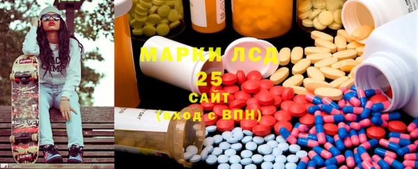 PSILOCYBIN Корсаков