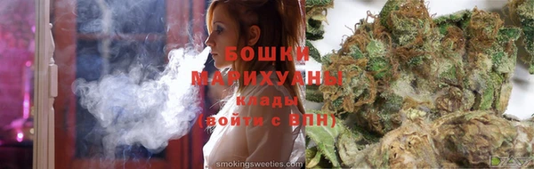 PSILOCYBIN Корсаков