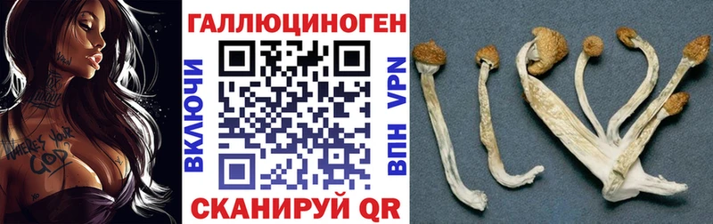 сколько стоит  Чебоксары  MEGA зеркало  мориарти официальный сайт  Псилоцибиновые грибы GOLDEN TEACHER 