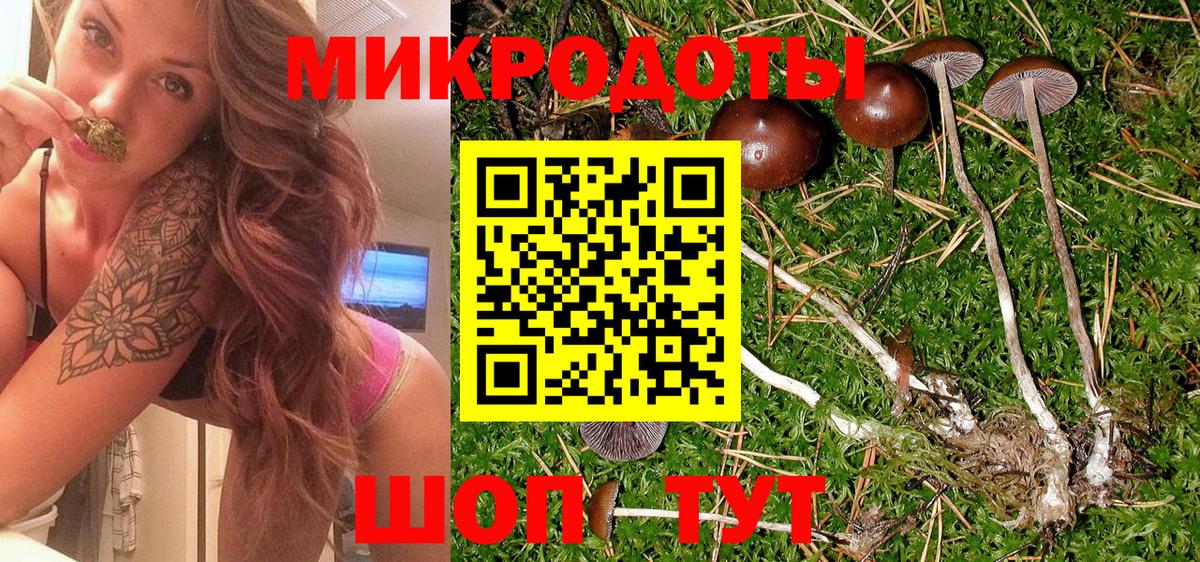 Галлюциногенные грибы MAGIC MUSHROOMS Чебоксары