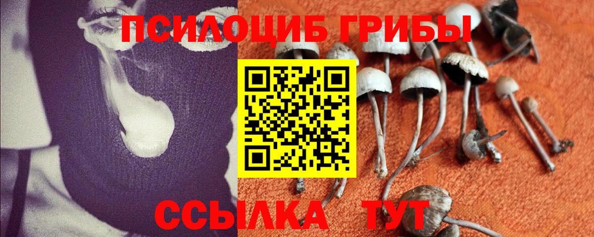 Галлюциногенные грибы мицелий  Вход с VPN  Псилоцибиновые грибы Cubensis  Чебоксары 