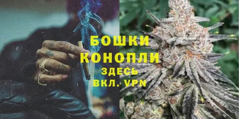 Бошки Шишки планчик  Чебоксары 